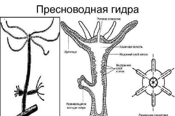 Ссылка omg omg в тор